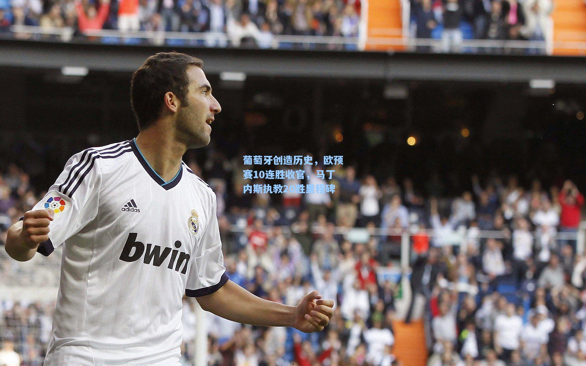 澳客数据_葡萄牙创造历史，欧预赛10连胜收官，马丁内斯执教20胜里程碑
